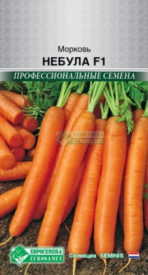 Морковь Небула