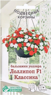 Бальзамин Лоллиплоп Классика