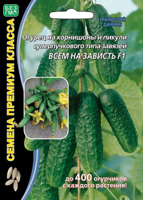 Огурец Всем на зависть