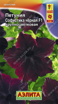 Петуния Софистика черная крупноцветковая