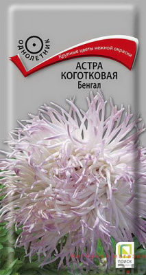 Астра коготковая Бенгал