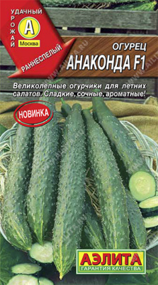 Огурец китайский Анаконда