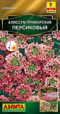 Алиссум Персиковый приморский
