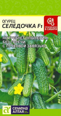Огурец Селедочка
