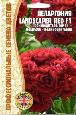 Пеларгония Landscaper Red