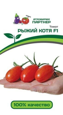Рыжий Котя F1