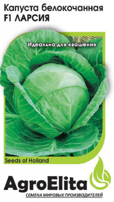 Капуста белокочанная Ларсия