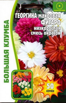 Георгина Фигаро