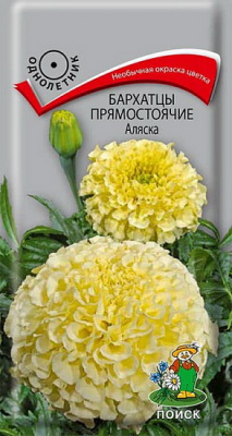 Бархатцы Аляска