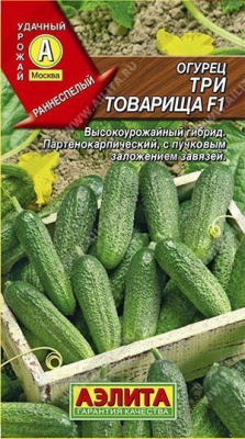 Три товарища