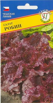 Салат Робин