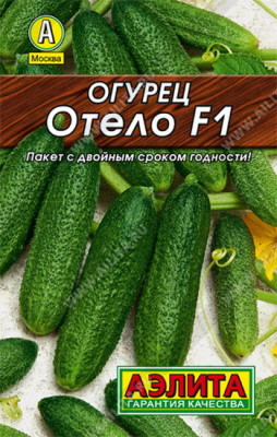 Огурец Отело - серия Лидер