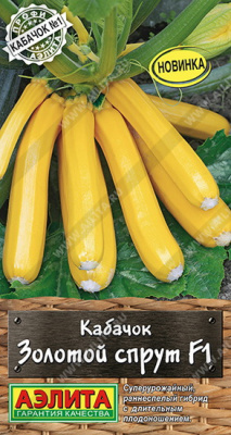 Кабачок Золотой спрут