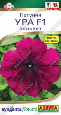 Петуния Ура вельвет