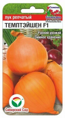 Темптэйшен