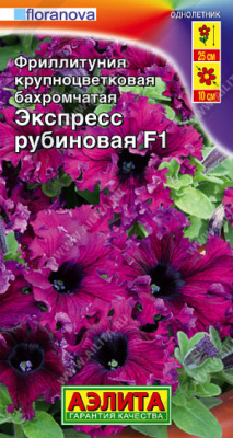 Фриллитуния Экспресс F1 рубиновая