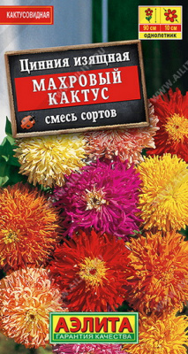 Цинния Махровый кактус смесь