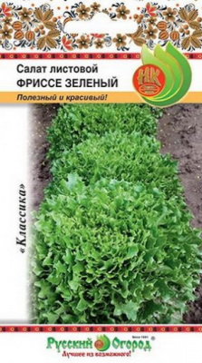 Салат Фриссе