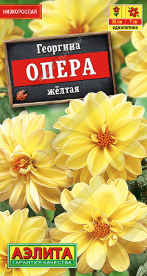 Георгина Опера желтая