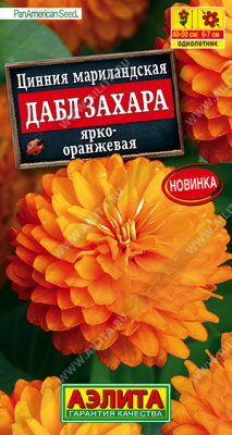 Цинния Дабл Захара ярко-оранжевая