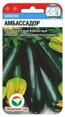 Кабачок Амбассадор