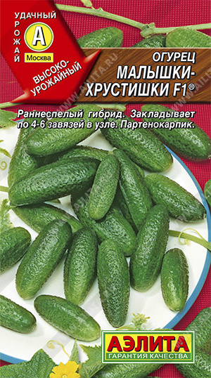 огурец Малышки-хрустишки огурец Малышки-хрустишки