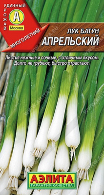 Лук батун Апрельский