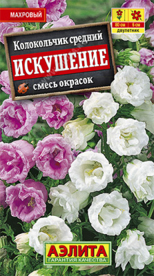 Колокольчик Искушение, смесь окрасок
