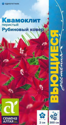 Квамоклит Рубиновый Ковер