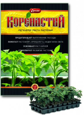 korenastai
