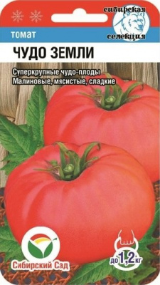 Чудо Земли