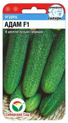 Огурец Адам