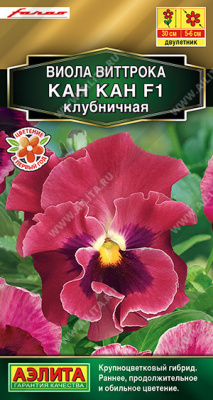 Виола Кан Кан клубничная